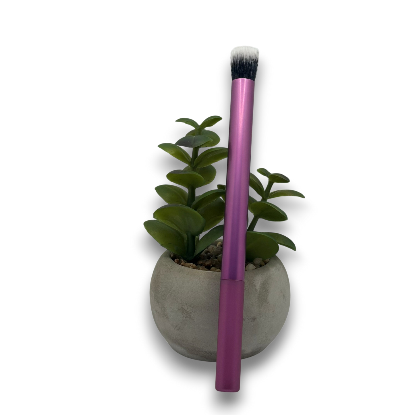 Pinceau Violet