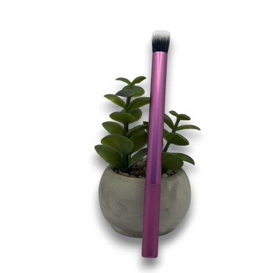 Pinceau Violet
